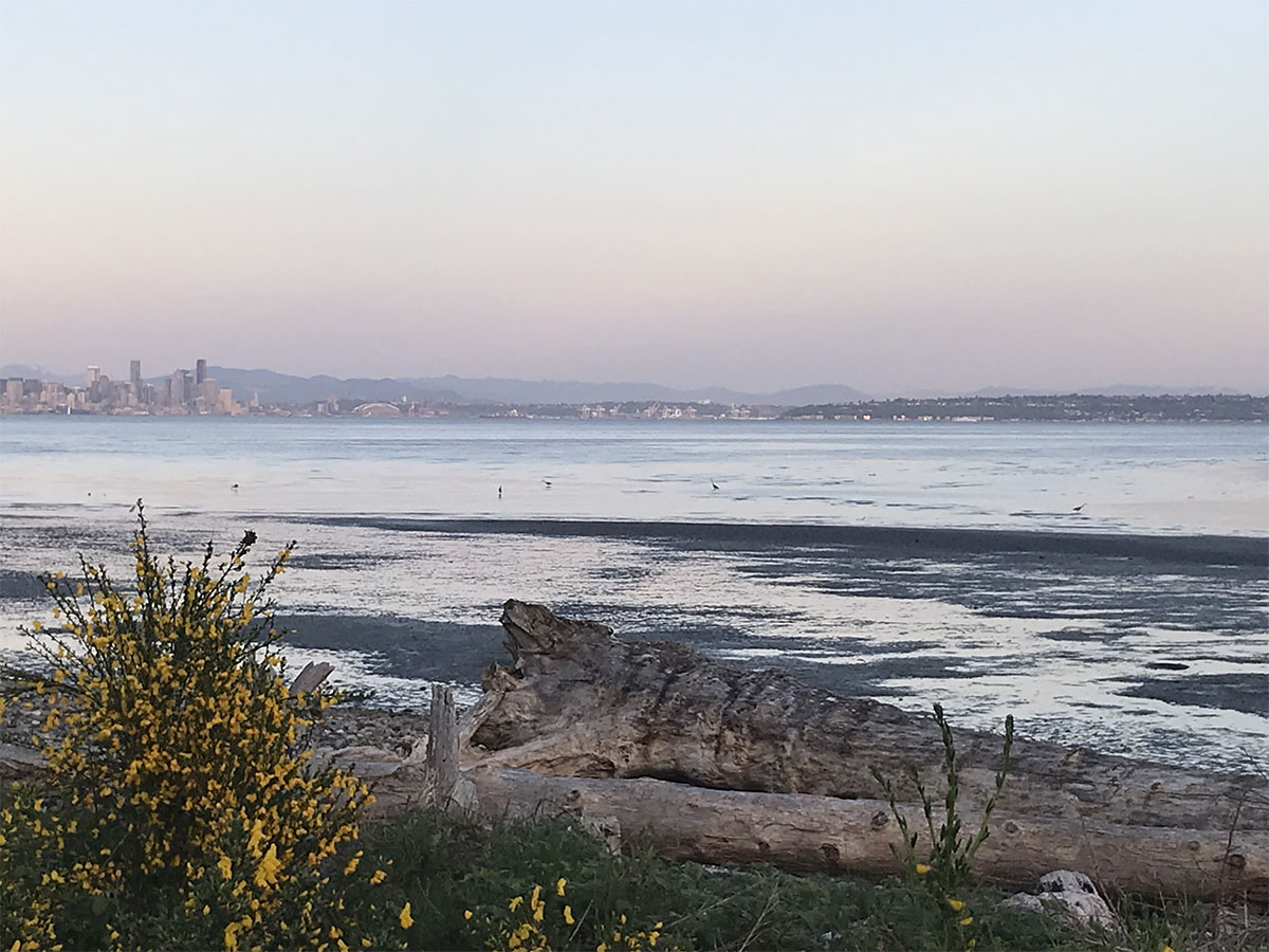 Serene coastal scene with a view of the shoreline at low tide