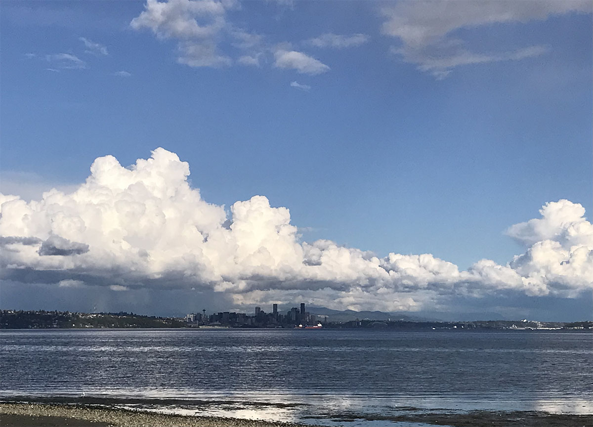 Scenic view of a shore with a city skyline in the distance