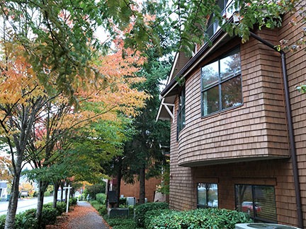 A sidewalk lined with trees and bushes next to a residential building with wooden shingles